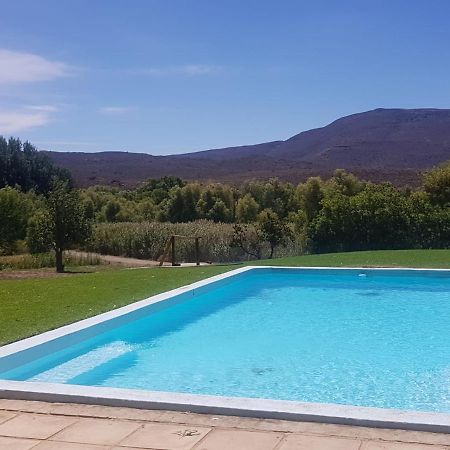 Гостевой дом Vrisch Gewagt Boutique Self-Catering Olive Farm Принс-Альберт Экстерьер фото