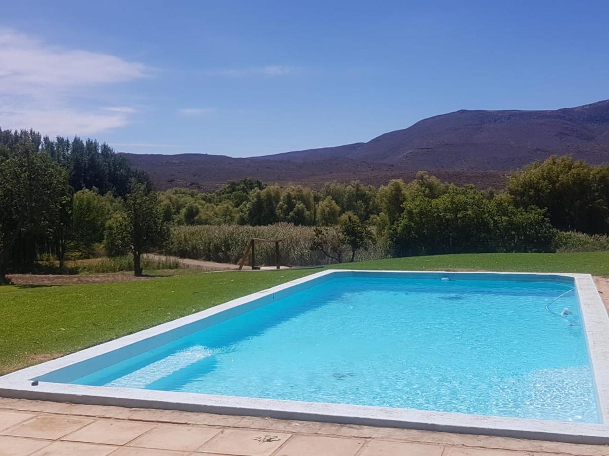 Гостевой дом Vrisch Gewagt Boutique Self-Catering Olive Farm Принс-Альберт Экстерьер фото
