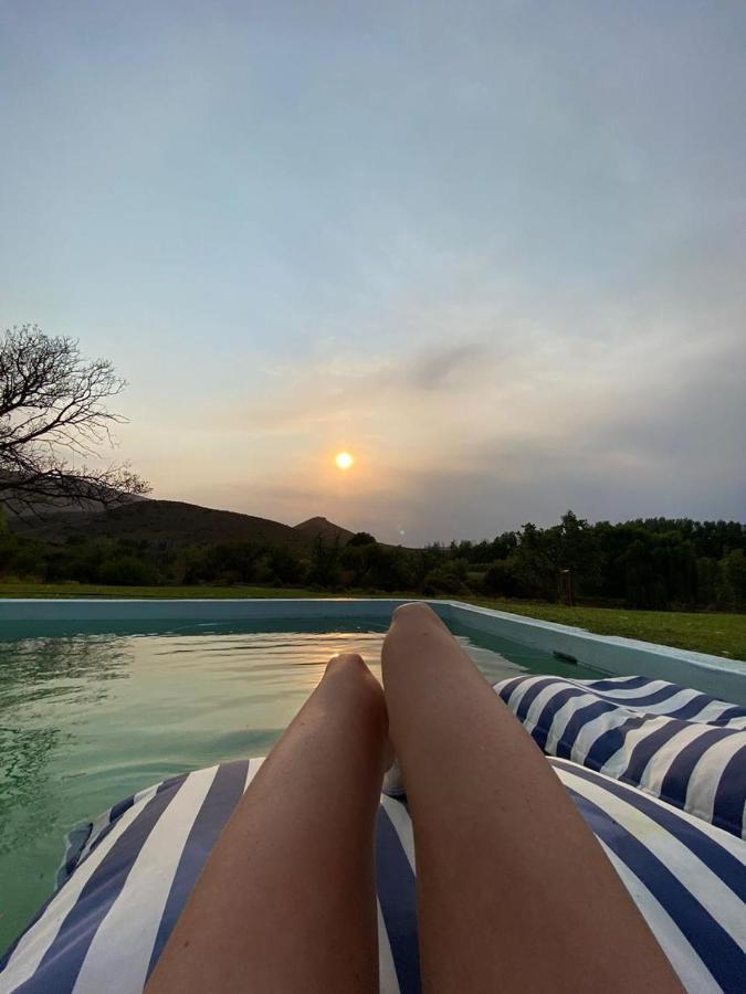 Гостевой дом Vrisch Gewagt Boutique Self-Catering Olive Farm Принс-Альберт Экстерьер фото