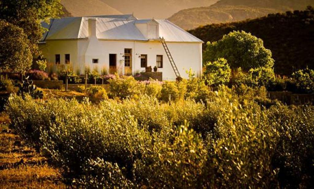 Гостевой дом Vrisch Gewagt Boutique Self-Catering Olive Farm Принс-Альберт Экстерьер фото